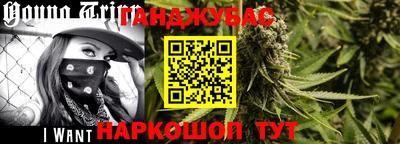 прущие крисы Гай
