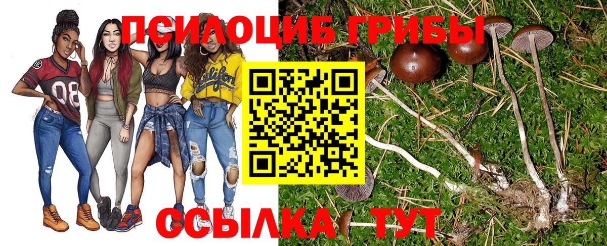 Ипатово  Псилоцибиновые грибы GOLDEN TEACHER  Вход с VPN 